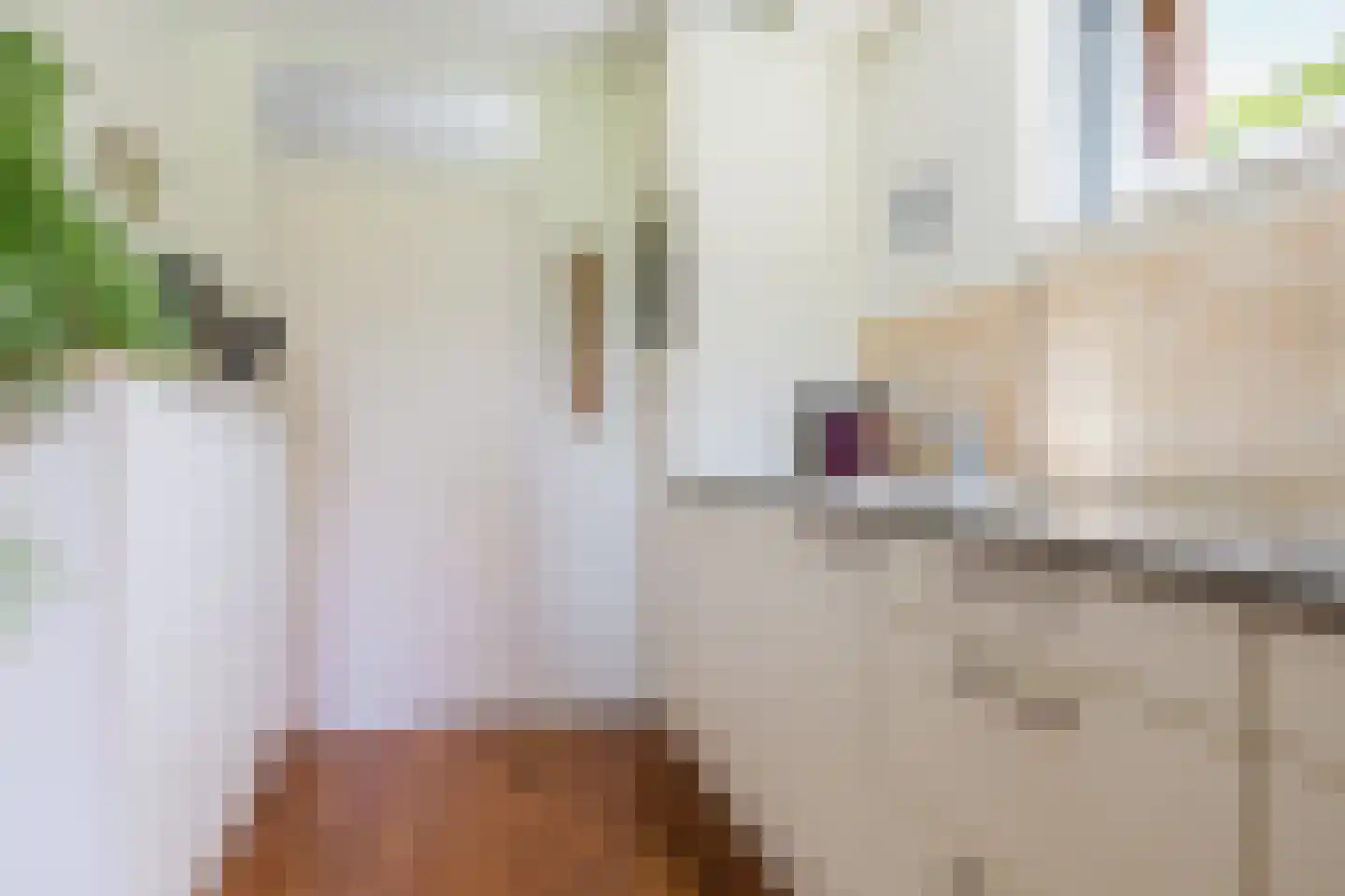 Jûkelburd 8 Ureterp thumbnail 30