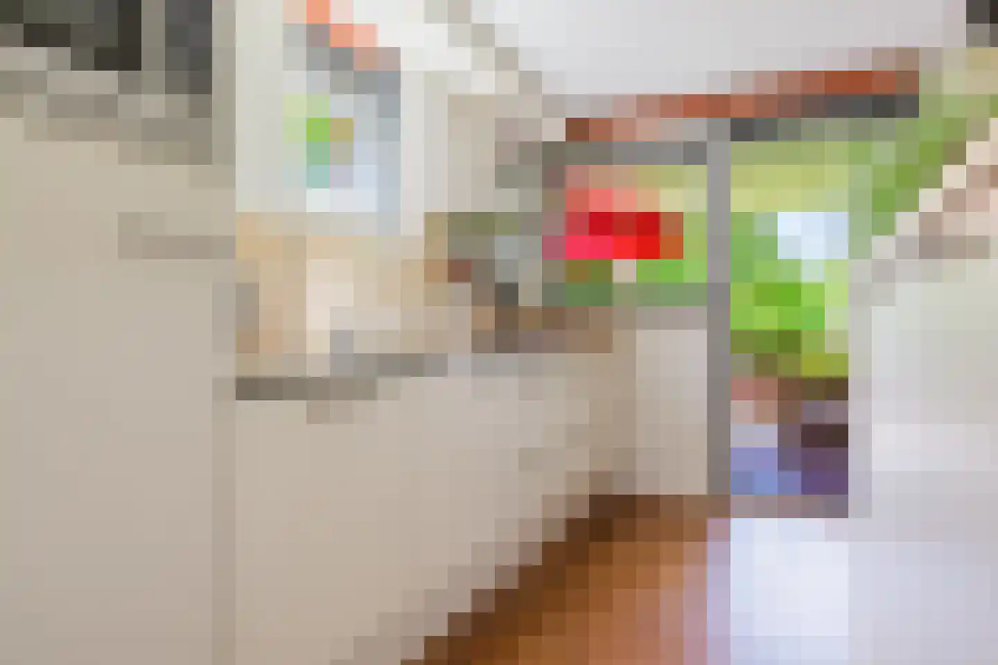 Jûkelburd 8 Ureterp thumbnail 32