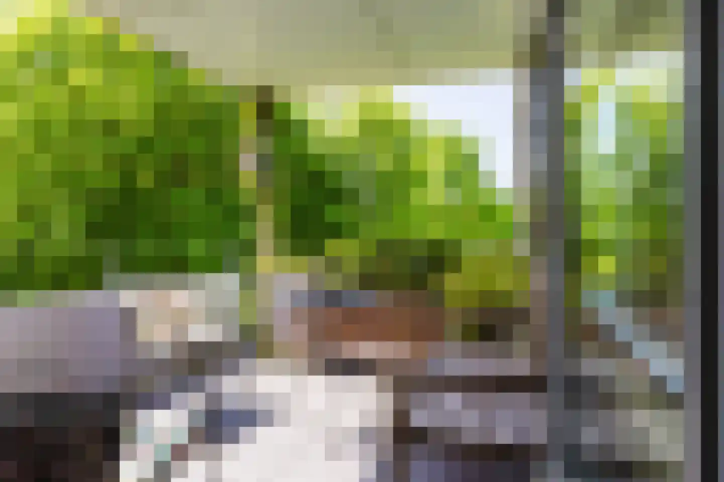 Jûkelburd 8 Ureterp thumbnail 33