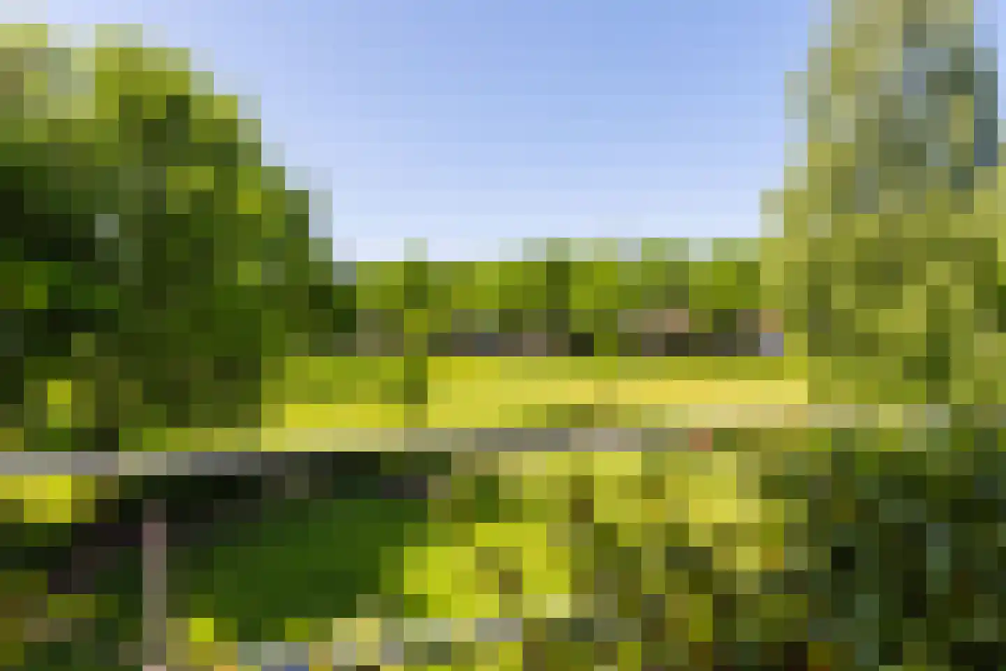 Jûkelburd 8 Ureterp thumbnail 35