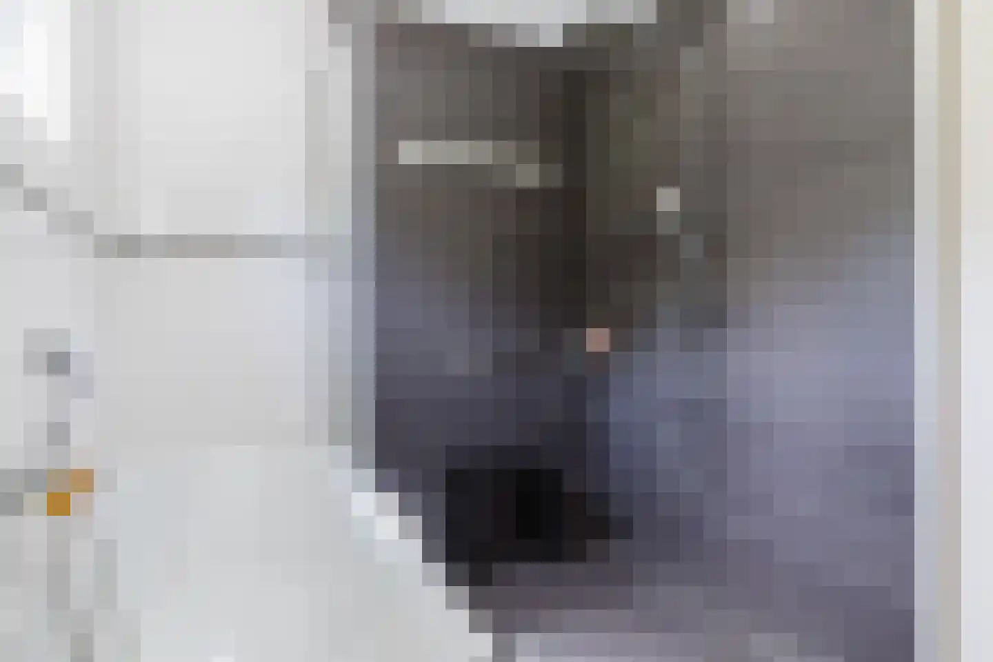 Jûkelburd 8 Ureterp thumbnail 38
