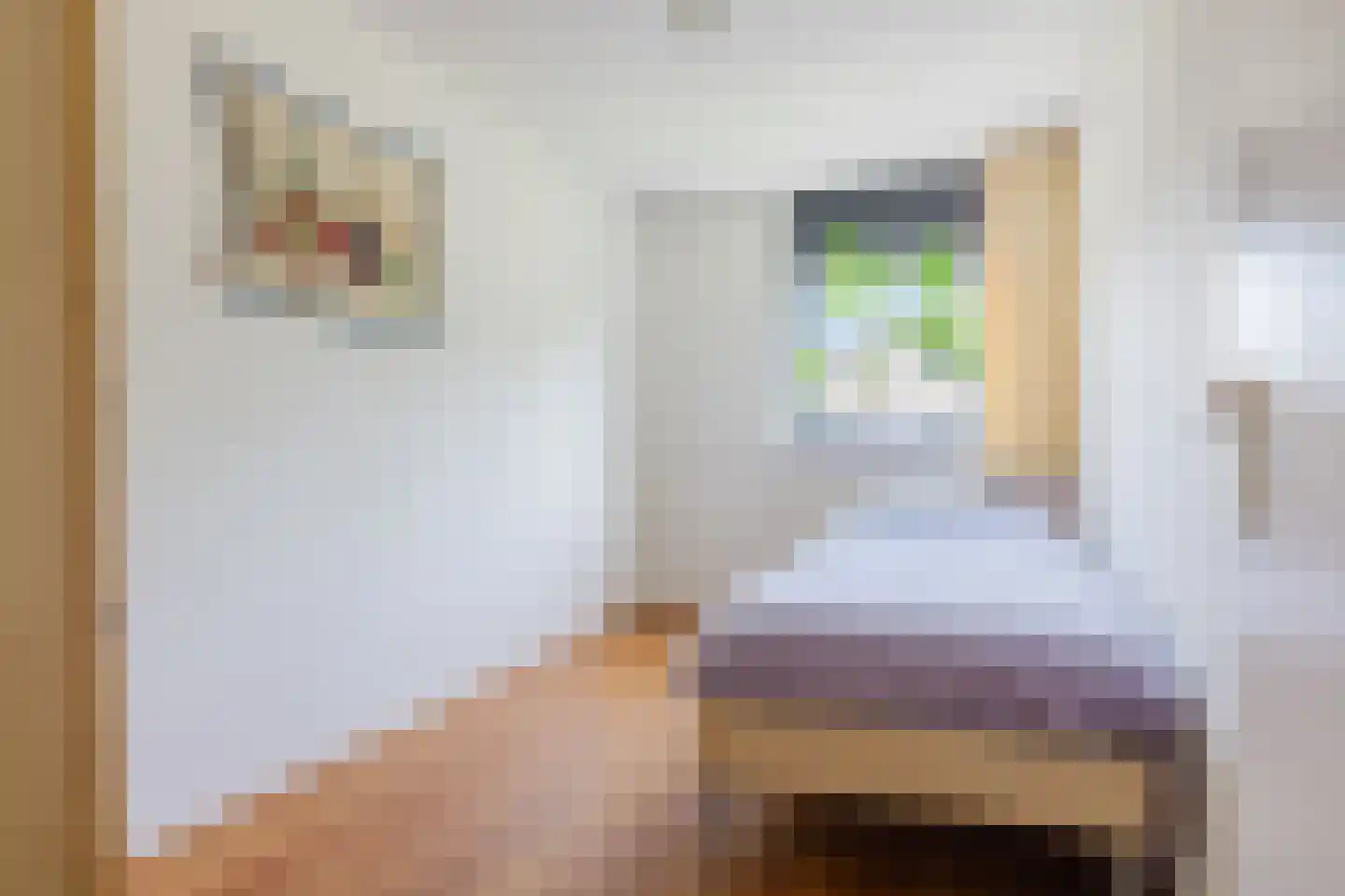Jûkelburd 8 Ureterp thumbnail 41