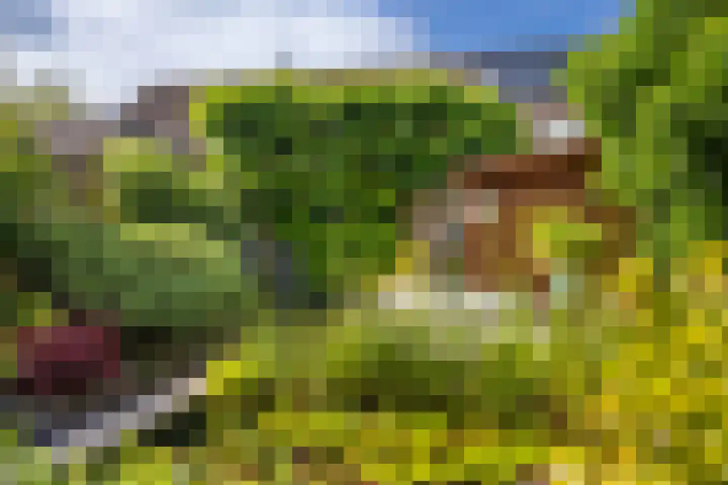 Jukveld 21 Houten thumbnail 17