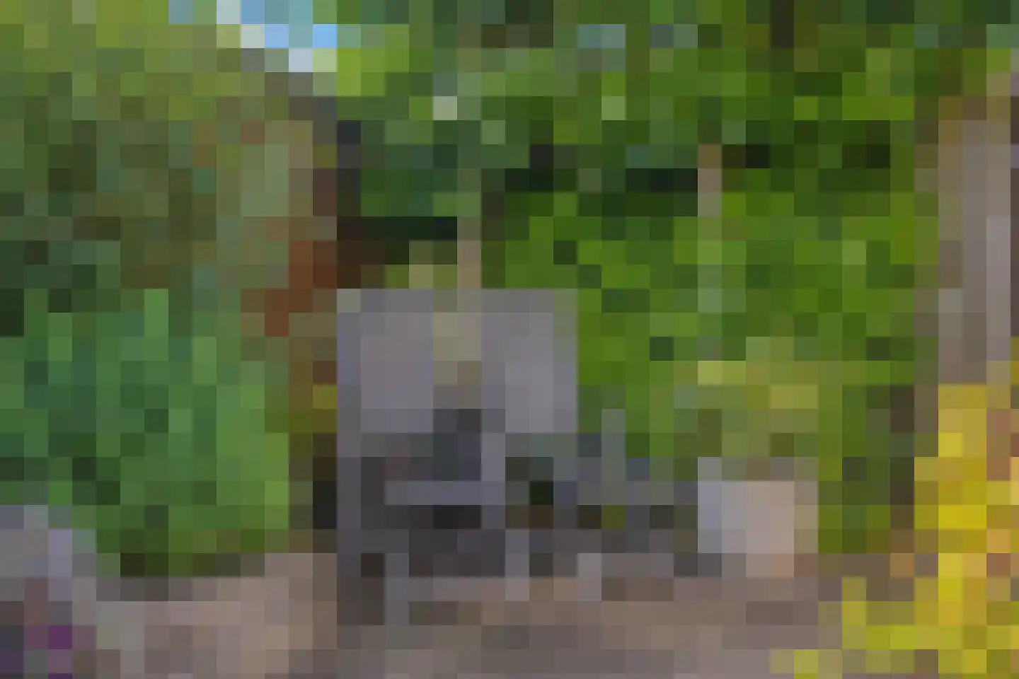 Jukveld 21 Houten thumbnail 19