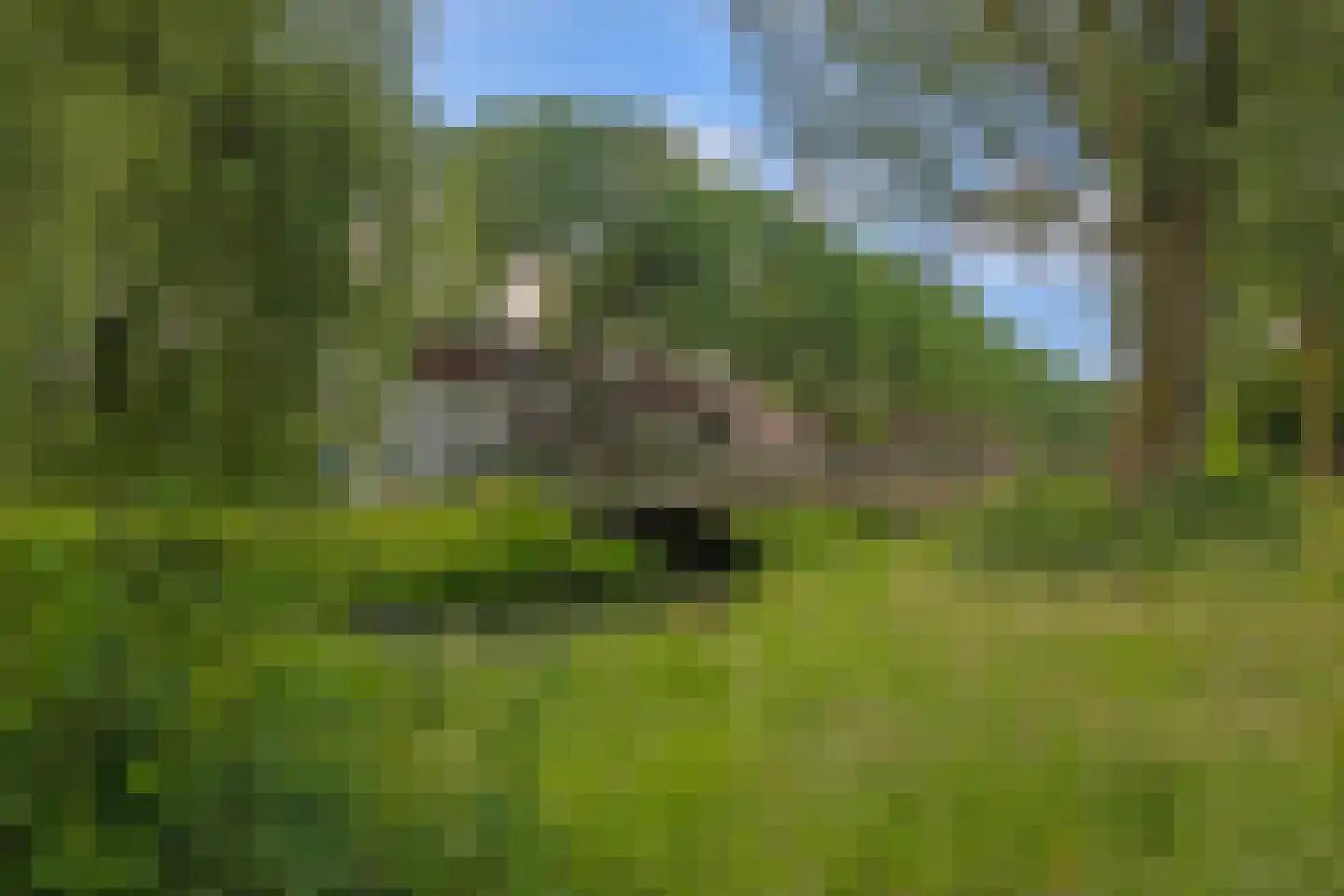 Jukveld 21 Houten thumbnail 53