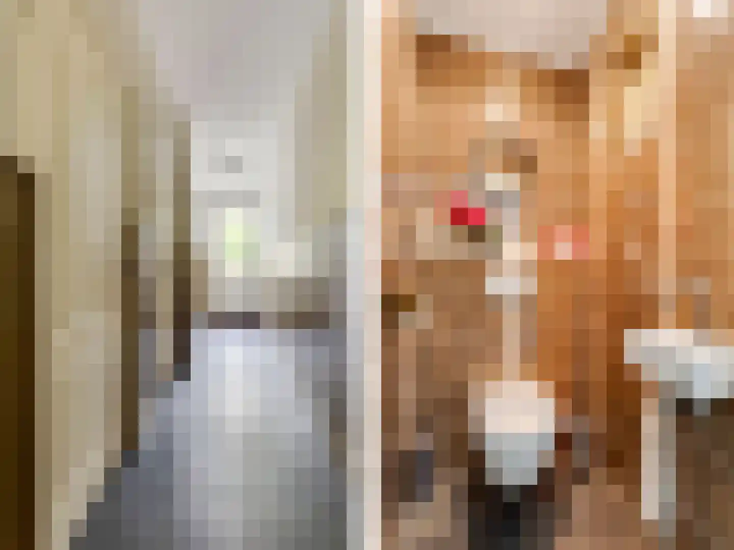 Jukweg 5 Elburg thumbnail 12