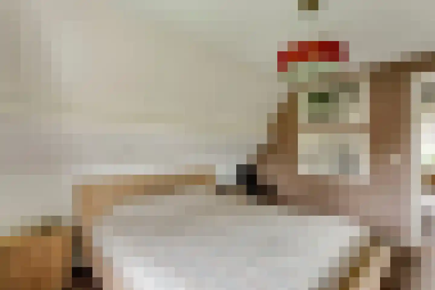 Jukweg 5 Elburg thumbnail 30