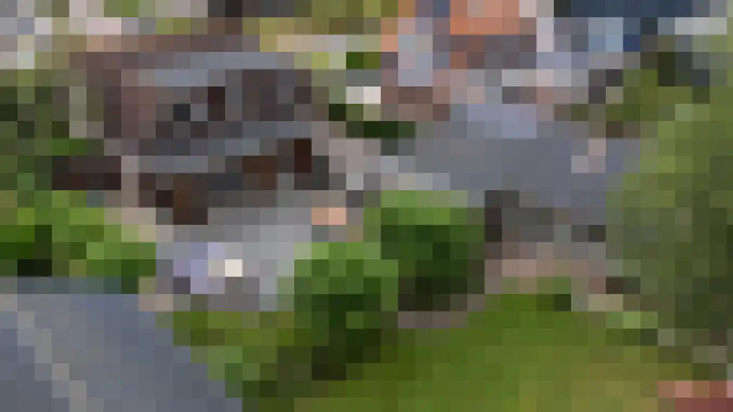 Jukweg 5 Elburg thumbnail 41