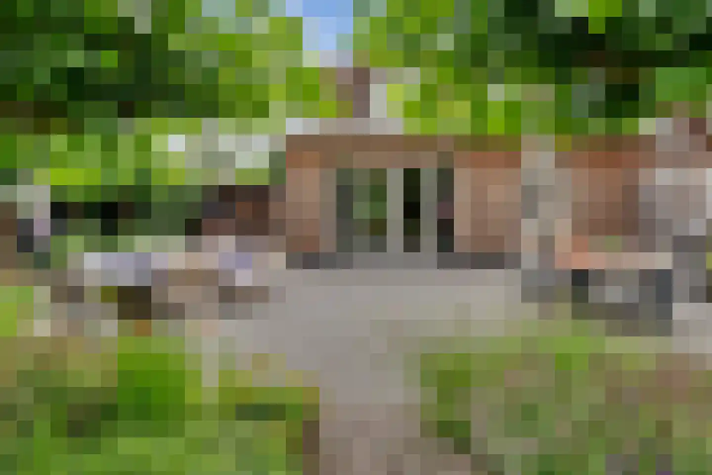 Jukweg 5 Elburg thumbnail 47