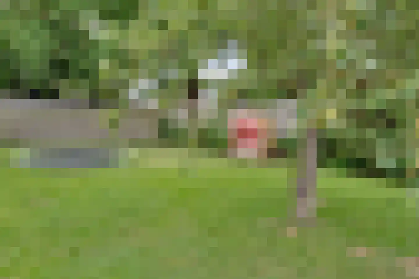 Jukweg 5 Elburg thumbnail 52