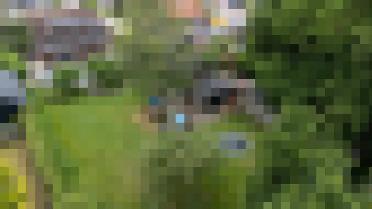Jukweg 5 Elburg thumbnail 6