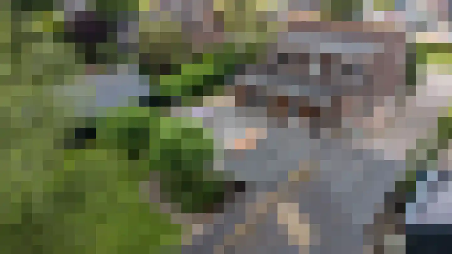 Jukweg 5 Elburg thumbnail 60