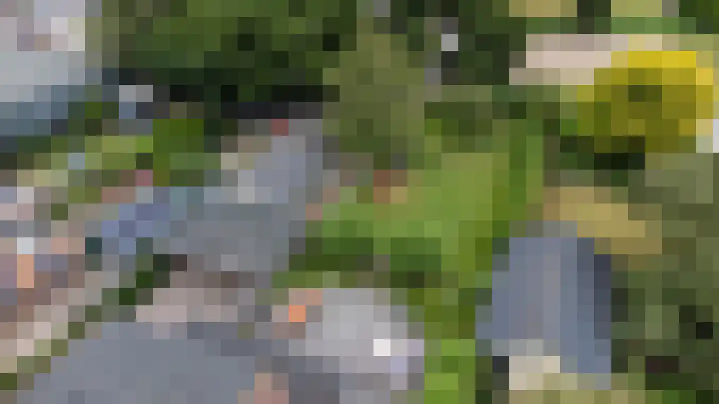 Jukweg 5 Elburg thumbnail 62