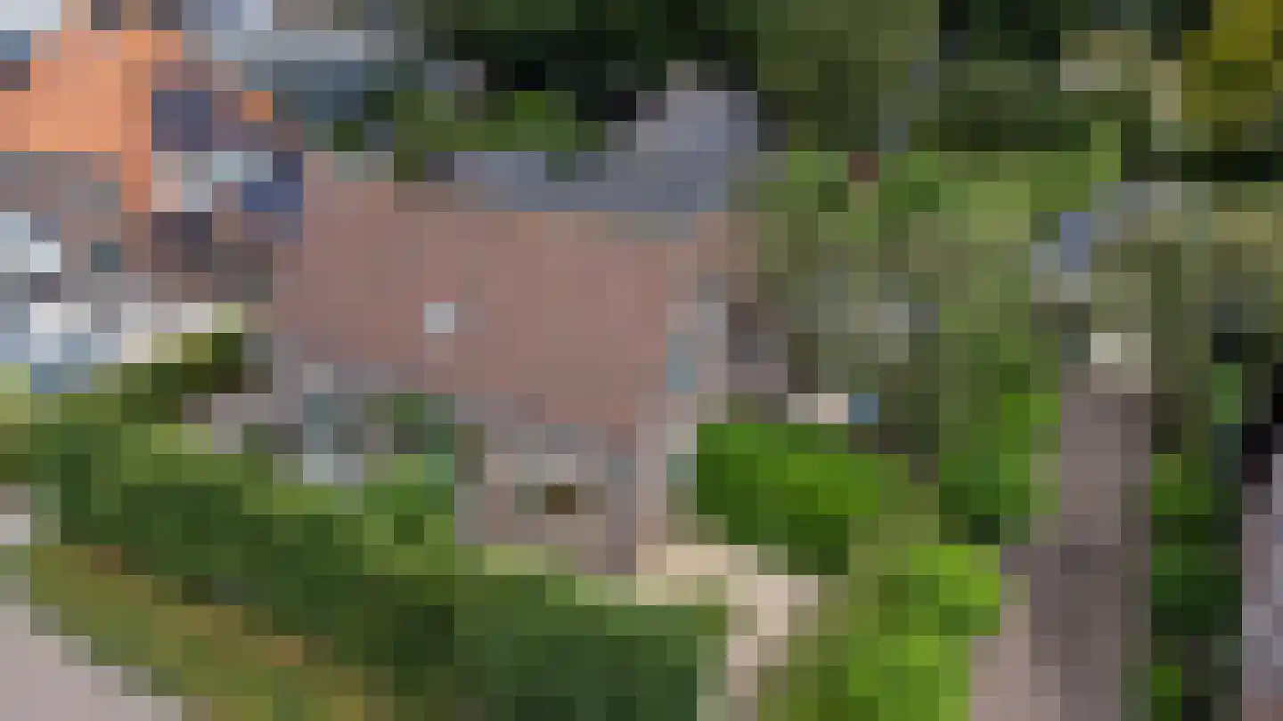 Jukweg 5 Elburg thumbnail 64