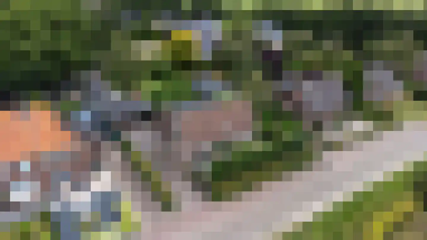 Jukweg 5 Elburg thumbnail 65