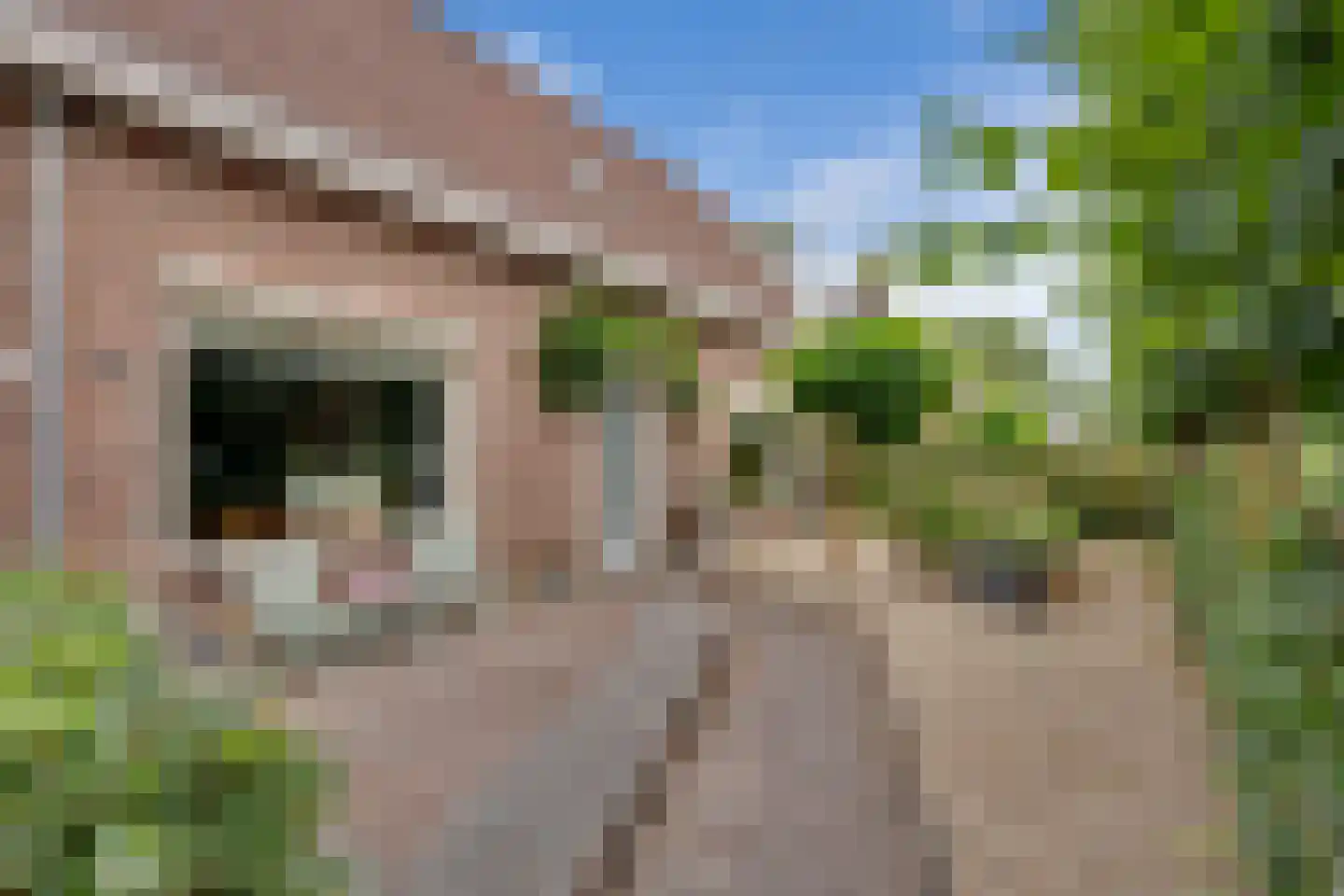 Jukweg 5 Elburg thumbnail 8