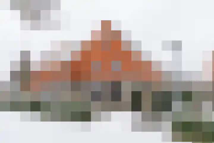 Jukwerd 9 in Groningen