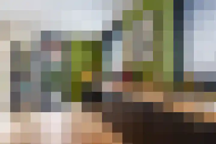 Jukwerd 9 Groningen thumbnail 21