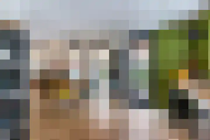 Jukwerd 9 Groningen thumbnail 22