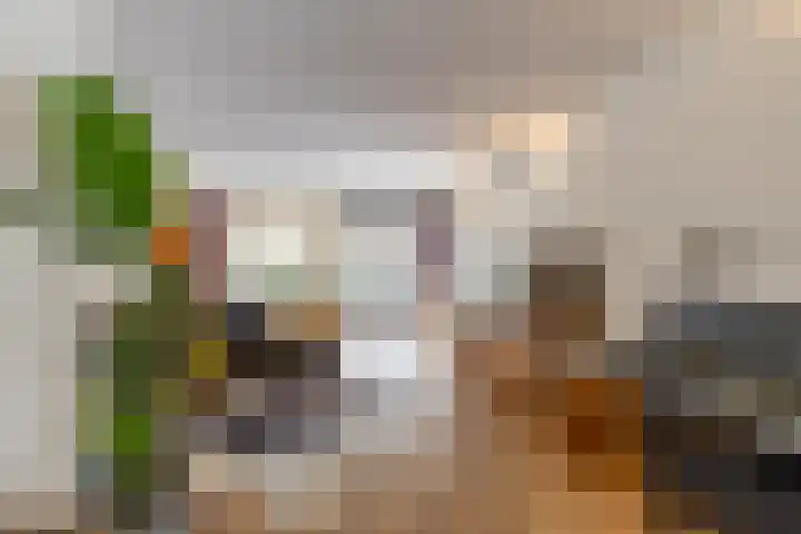 Jukwerd 9 Groningen thumbnail 26