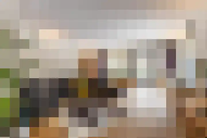 Jukwerd 9 Groningen thumbnail 27