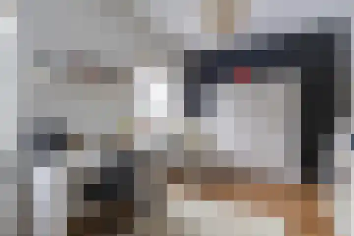 Jukwerd 9 Groningen thumbnail 35