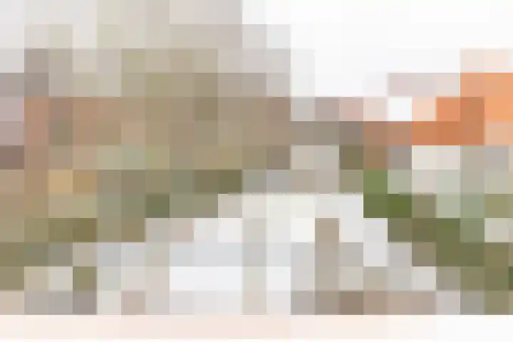 Jukwerd 9 Groningen thumbnail 4