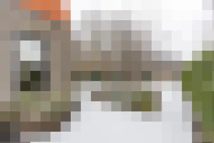 Jukwerd 9 Groningen thumbnail 57