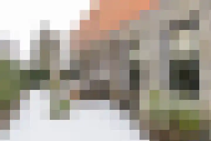 Jukwerd 9 Groningen thumbnail 58
