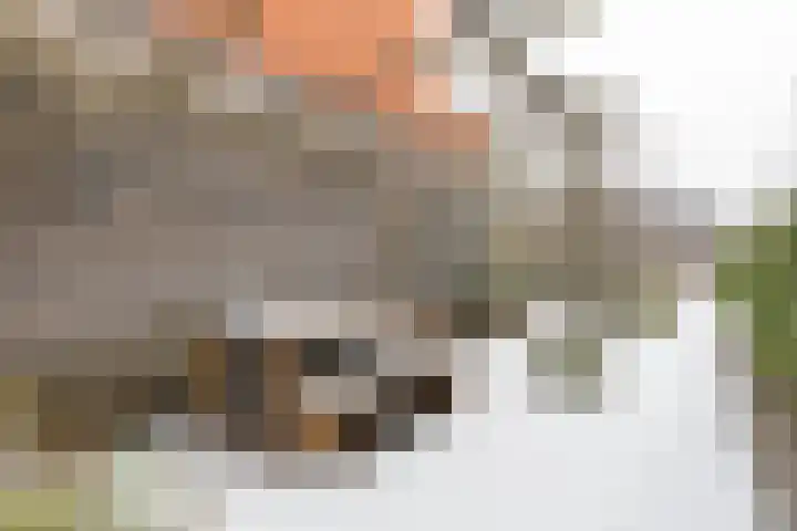 Jukwerd 9 Groningen thumbnail 59