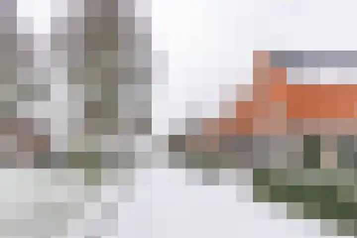Jukwerd 9 Groningen thumbnail 66