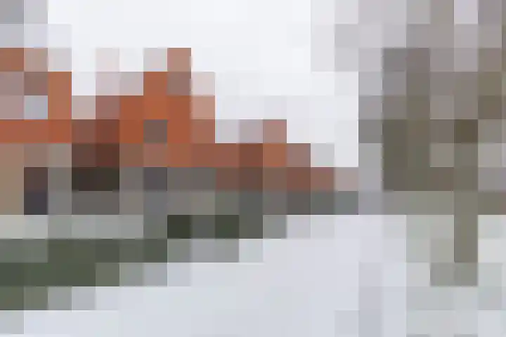 Jukwerd 9 Groningen thumbnail 67