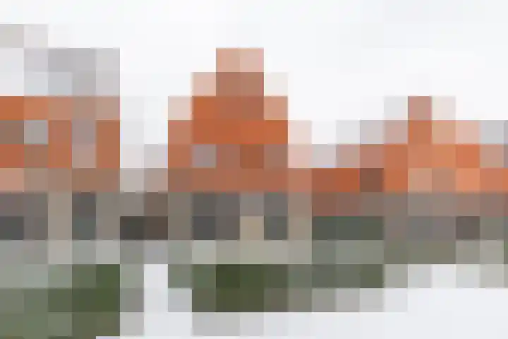 Jukwerd 9 Groningen thumbnail 68
