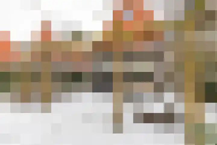 Jukwerd 9 Groningen thumbnail 7
