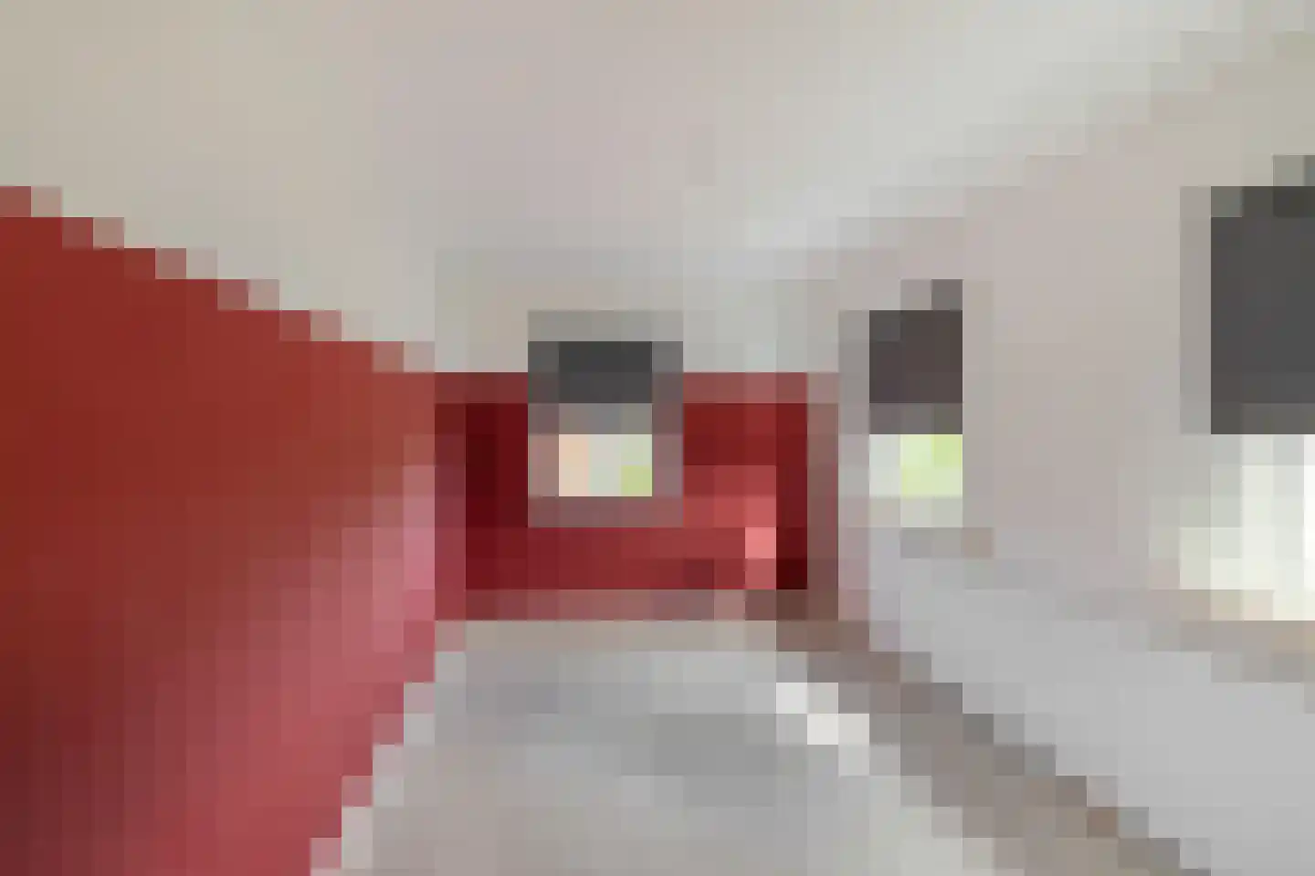 Jukwerderweg 3 Appingedam thumbnail 18