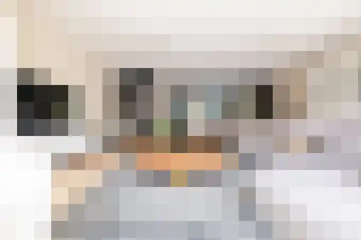 Jule Stynestraat 26 Utrecht thumbnail 11