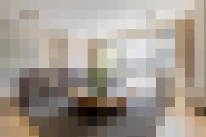 Jule Stynestraat 26 Utrecht thumbnail 13