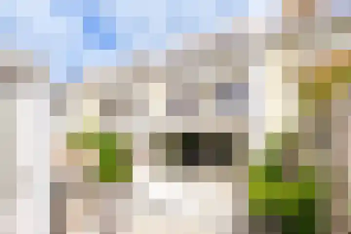 Jule Stynestraat 26 Utrecht thumbnail 17