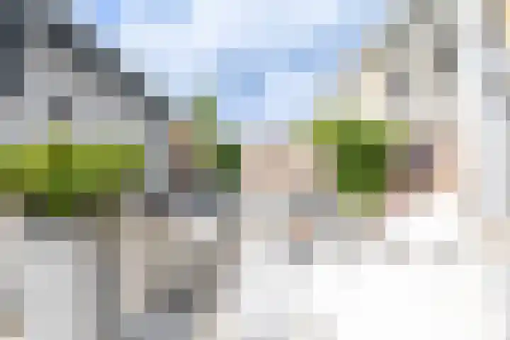 Jule Stynestraat 26 Utrecht thumbnail 18