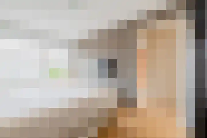 Jule Stynestraat 26 Utrecht thumbnail 32