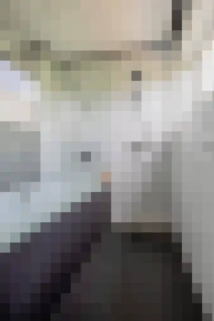 Jule Stynestraat 26 Utrecht thumbnail 37