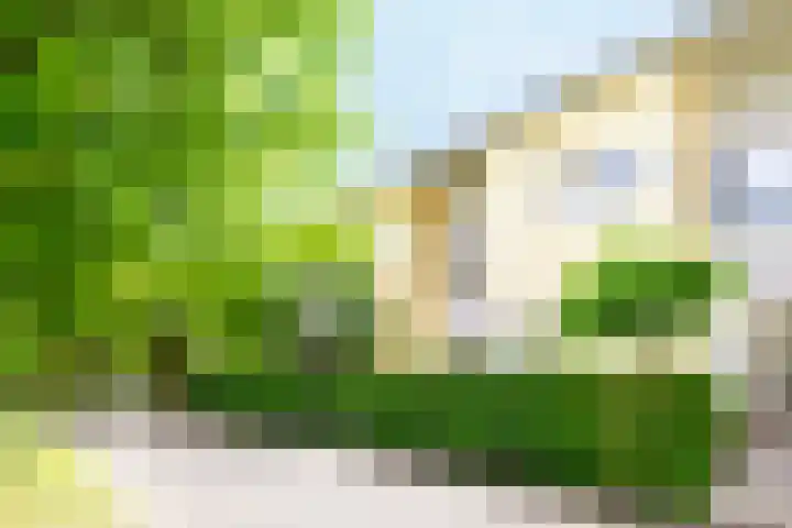 Jule Stynestraat 26 Utrecht thumbnail 4