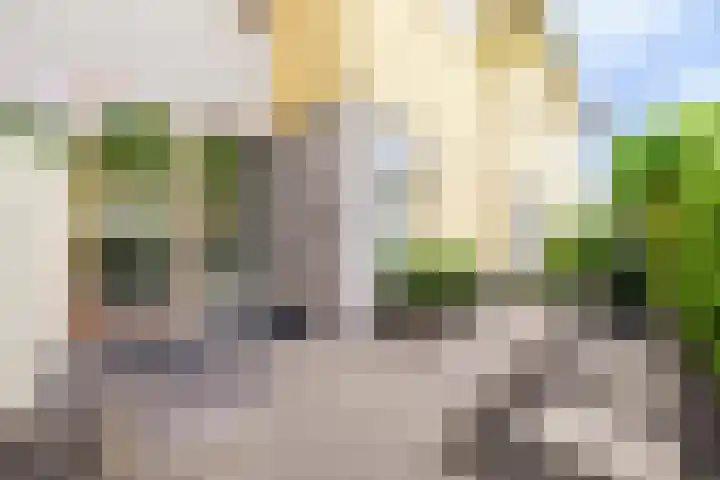 Jule Stynestraat 26 Utrecht thumbnail 5