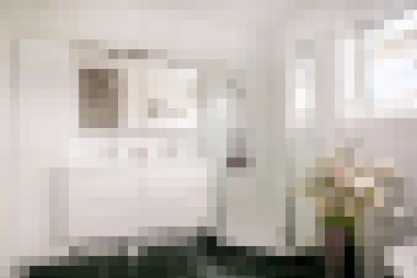 Jule Stynestraat 52 Utrecht thumbnail 27