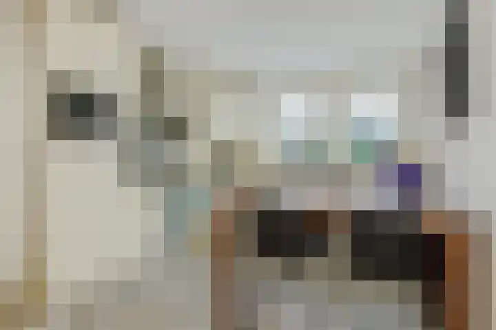 Jules de Cortestraat 2 Deurne thumbnail 23