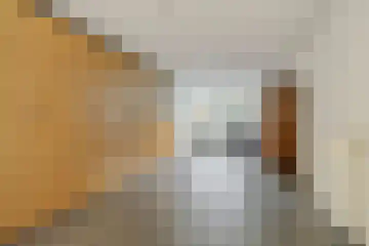 Jules de Cortestraat 2 Deurne thumbnail 27