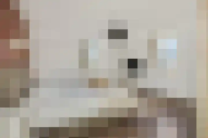Jules de Cortestraat 2 Deurne thumbnail 31