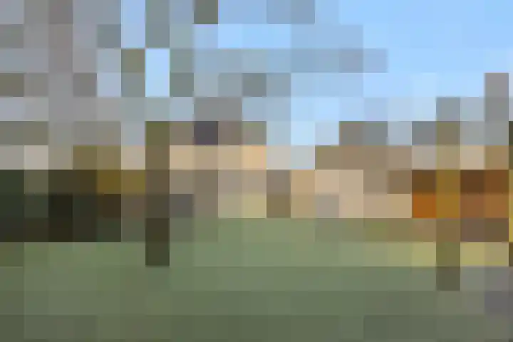 Jules de Cortestraat 2 Deurne thumbnail 36