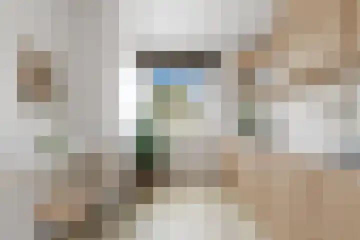 Jules Massenethof 21 Den Haag thumbnail 13