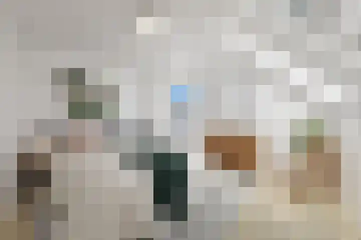 Jules Massenethof 21 Den Haag thumbnail 26